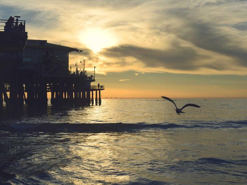 光之教堂<br>axbyeqm.cn 安藤忠雄十字架